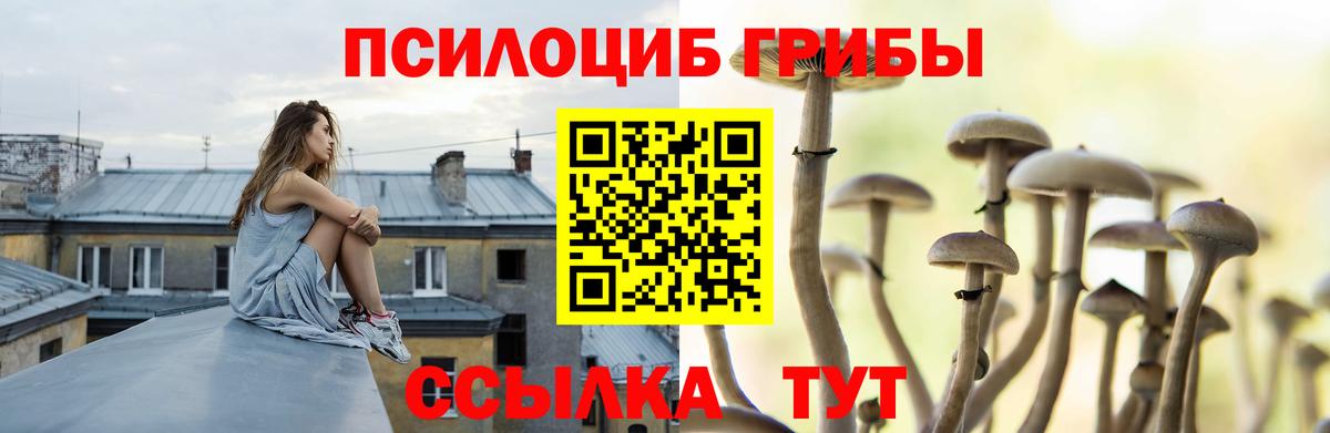 Галлюциногенные грибы GOLDEN TEACHER  Вход с VPN  Братск 